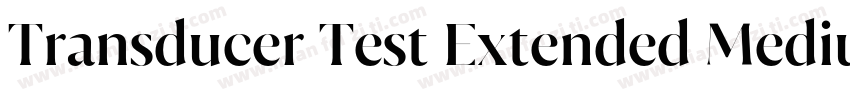 Transducer Test Extended Medium字体转换